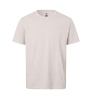 Aschgrau meliert (C-199)