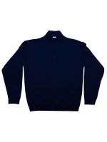 Navy (PMS 5395C)