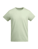 Mist Green 264